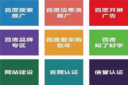 SEM代运营机构案例分析：优化策略与执行